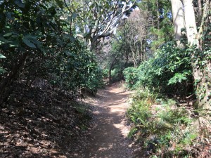 IMG_3352