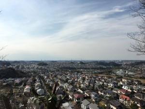 IMG_3354